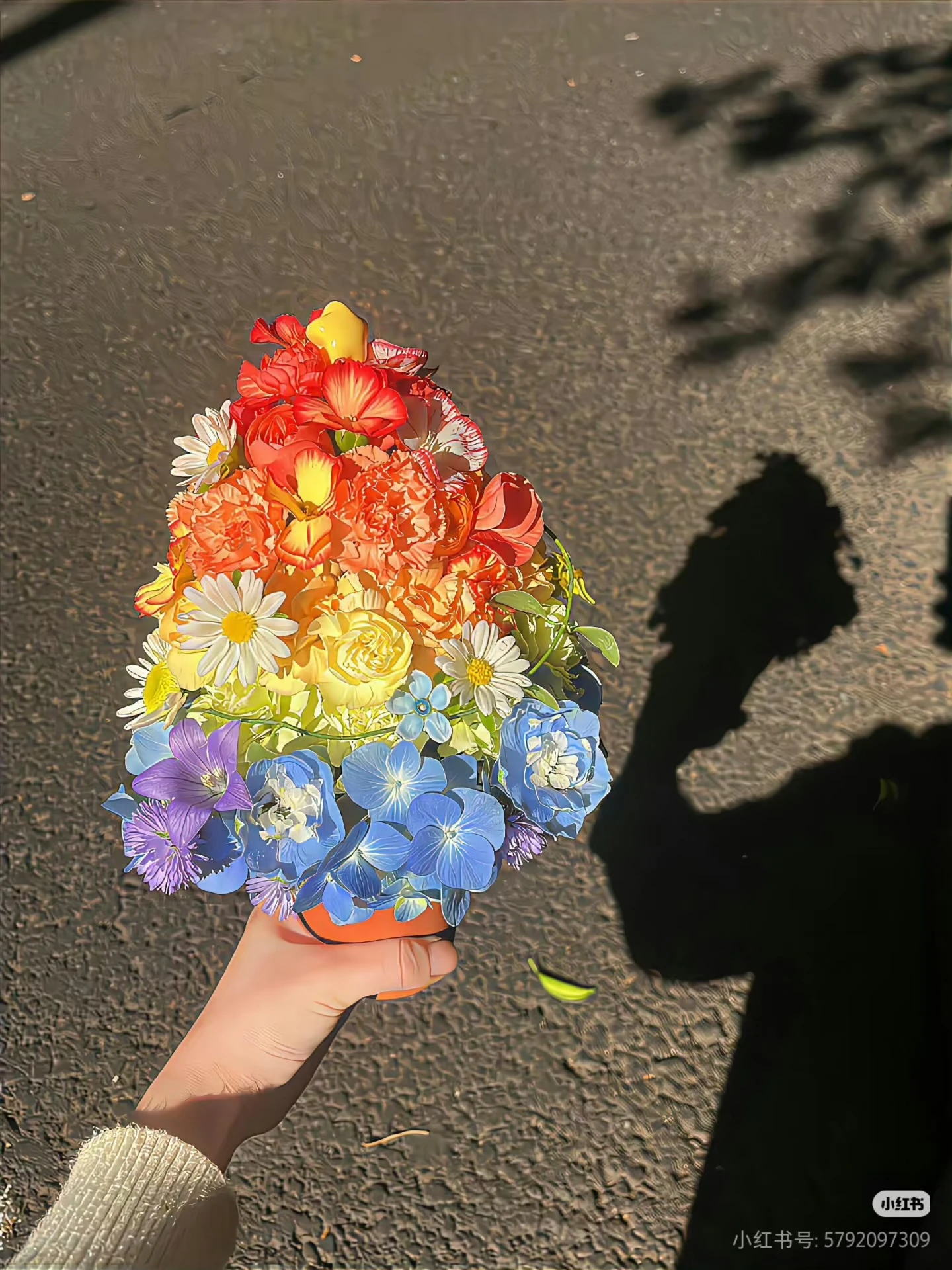 

V6 pro Vela Body Slimming Machine 360 Degree Massage Portable Skin Tightening Pressure Device for Aesthetic Therapy