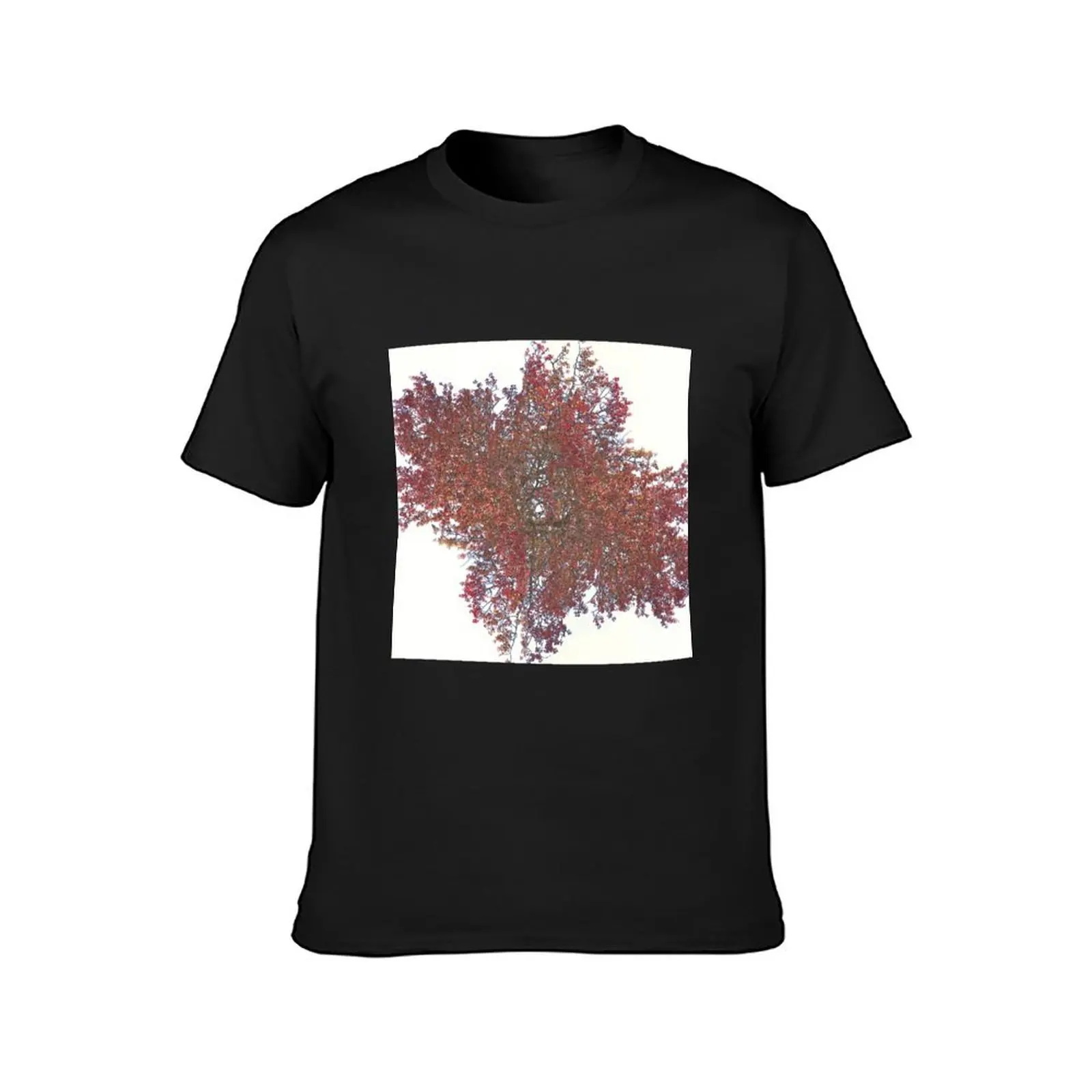 Red aspen leaves T-shirt summer top Aesthetic clothing mens vintage t shirts