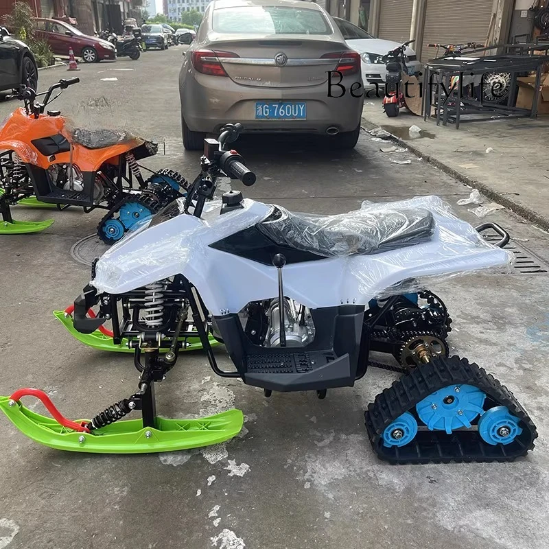 

Развлечения льда и снега на квадроцикле, маленькая пляжная машина в виде сокола, живописное место на гусеничном сани, автомобиль на снежном пляже по всему местности