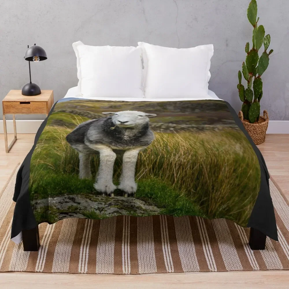 

Herdwick Sheep Throw Blanket valentine gift ideas Thermal Summer Beddings Luxury Designer Blankets