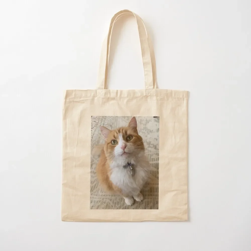 

Do you have any Treats Tote Bag Big bag large bags men large size bags