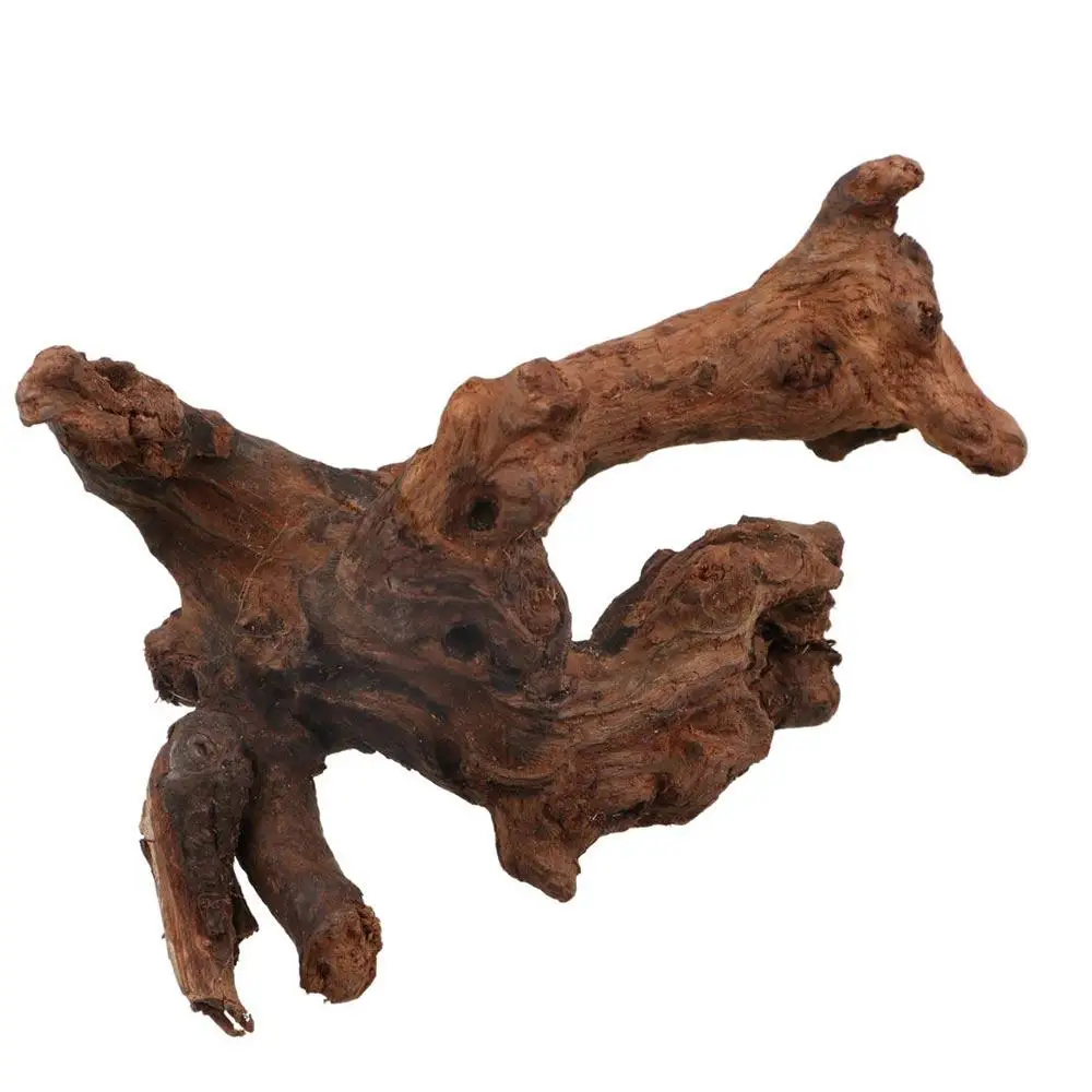 

Creative Irregular Shape Coral Wood Natural Wood Aquatic Plants Driftwood Trunk for Aquarium