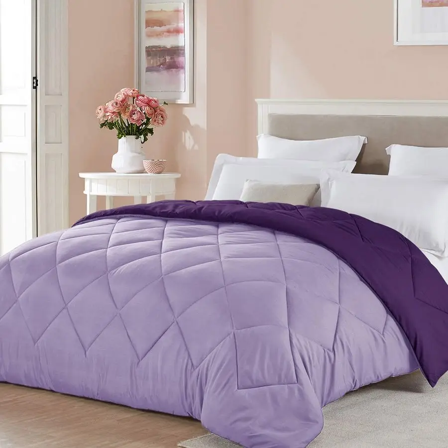 

Twin XL Size Light Purple Comforter Plum Lavender Reversible Lightweight Girls Cooling Bedding College Dorm Bedspread All Season