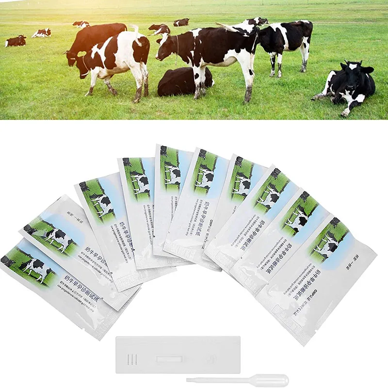 Animal Instrument Cow Urine Pregnancy Test Strips Disposable Cattle Early Pregnancy Diagnostic Test Paper