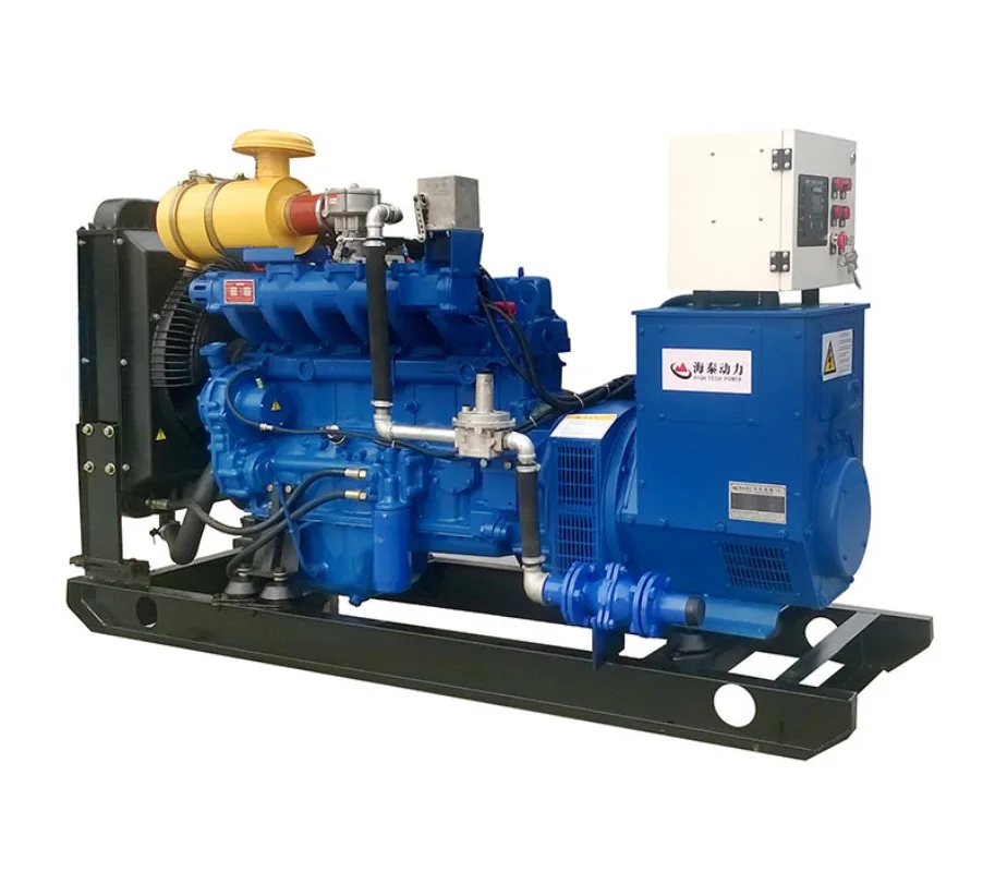 50kw Natural Gas Powered Generator Set Biogas Generator Three Phase for Sale