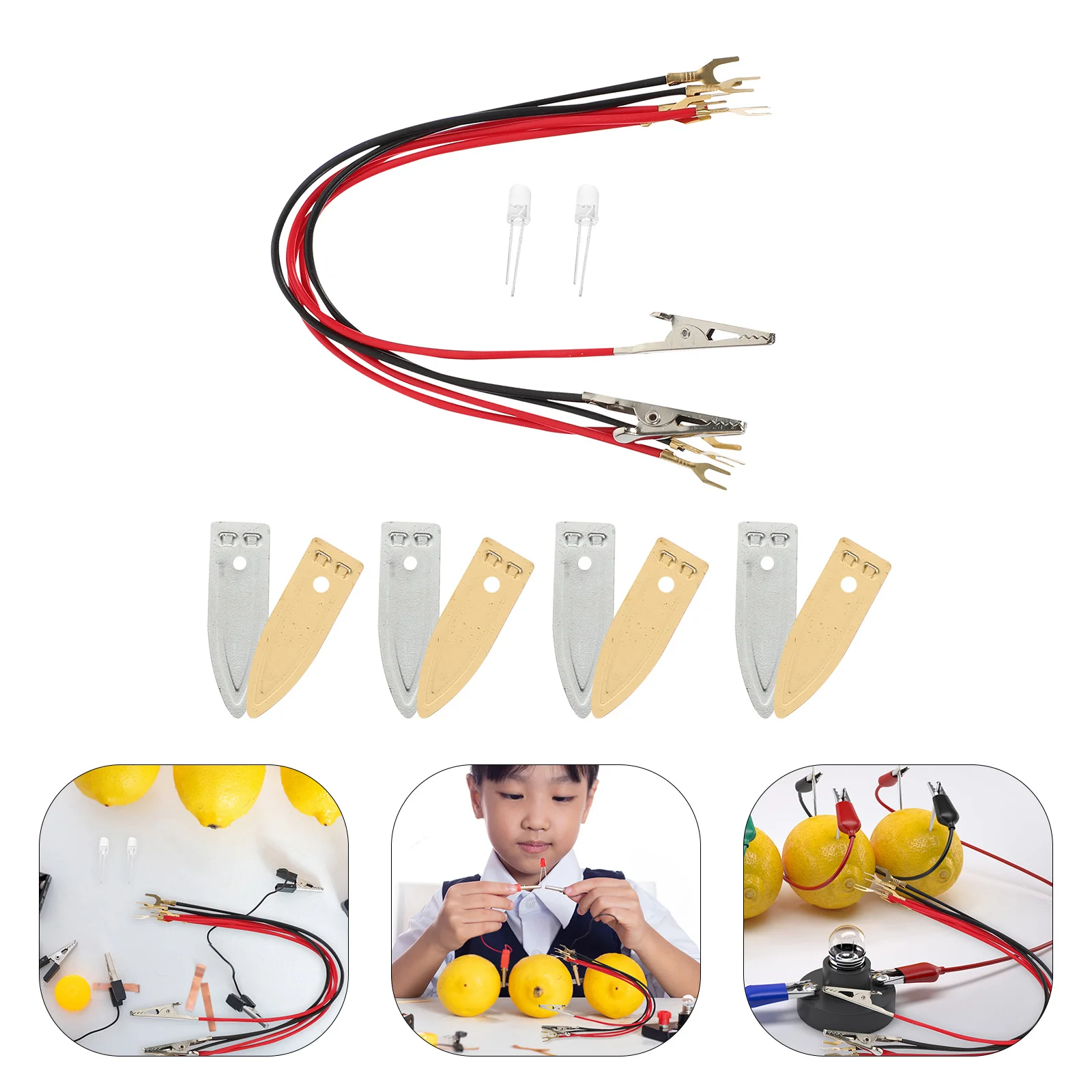 

1Set Educational Fruit Kit Science Experiment DIY Student Project Kids Electricity Learning Set with Fun Hands-on