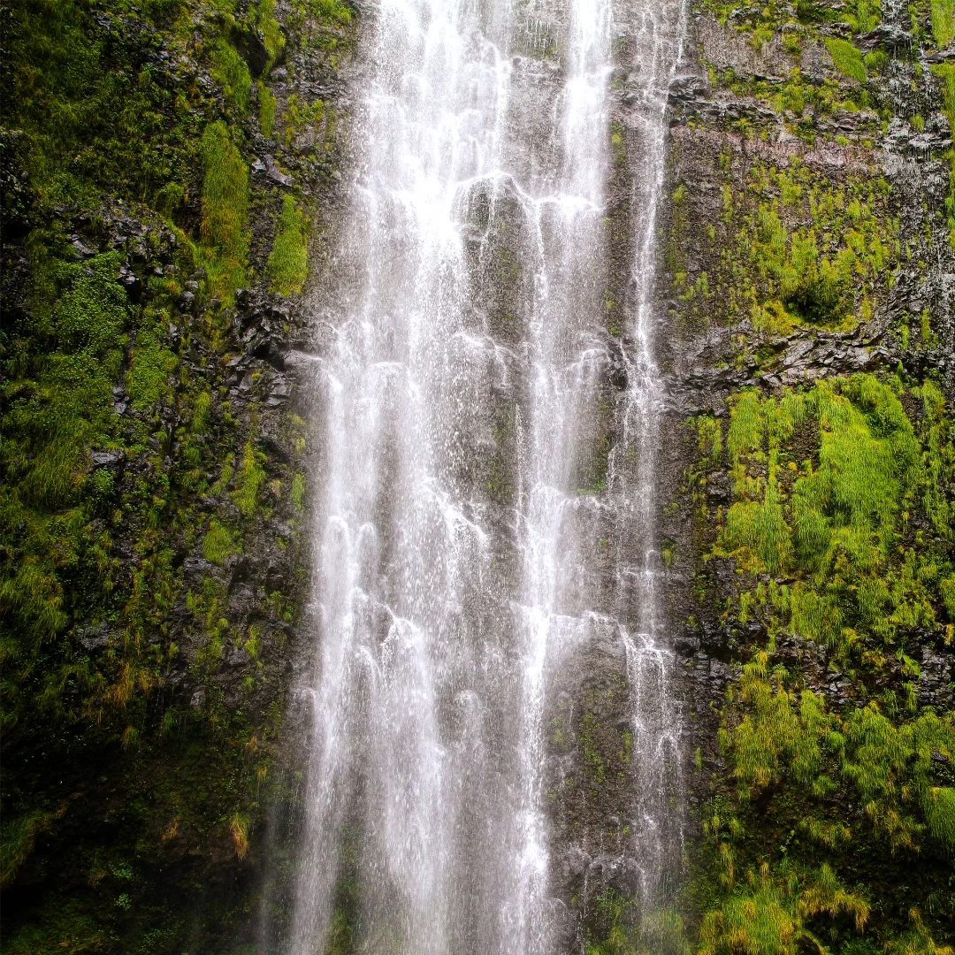 Afj 12.3 Inch Andro… - image