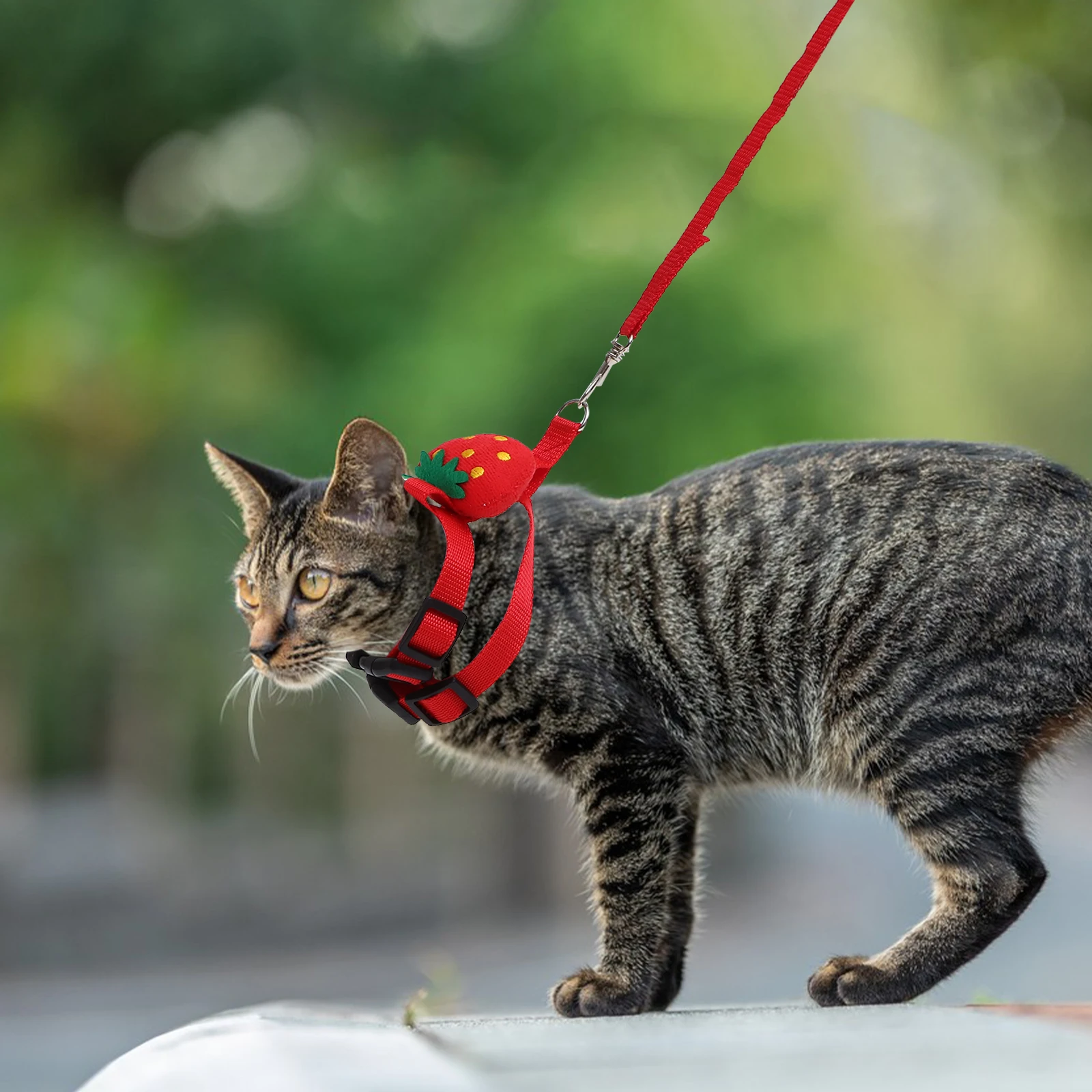 

2 set Rabbit Harness Leash Set S Size Strawberry Carrot Adjustable Small Pets Traction Rope Outdoor Pet Supplies