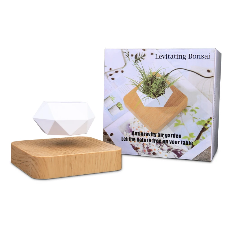 Magnetic Levitation Potted Plants, Aerial Floral Ornaments, Diamond Shaped Magnetic Levitation Green Plant Bonsai Succulent Plan