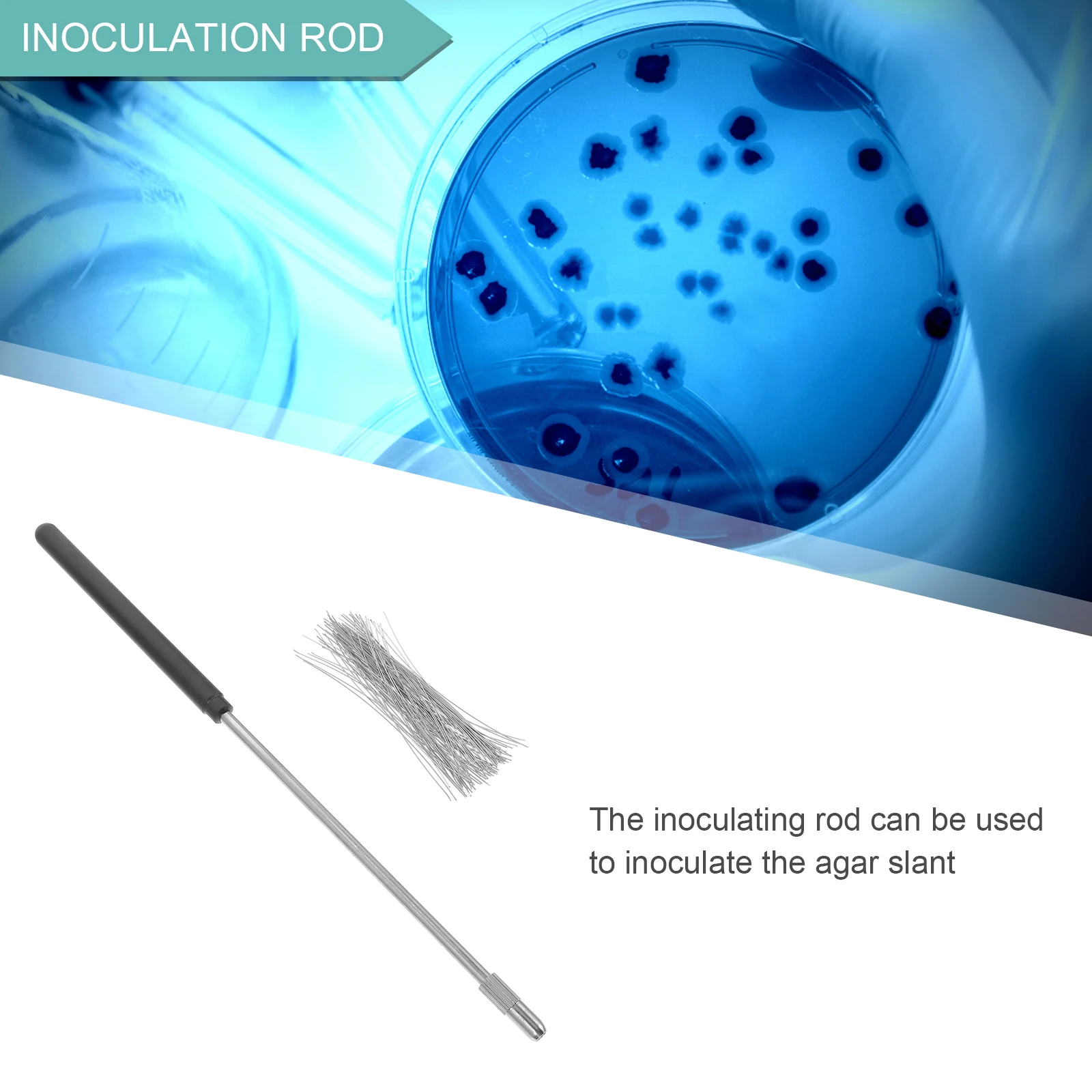 

1 set Stainless Steel Inoculation Rod Reusable Loop Mycology Tool Lab Equipment for Culture Process in Detection Cell