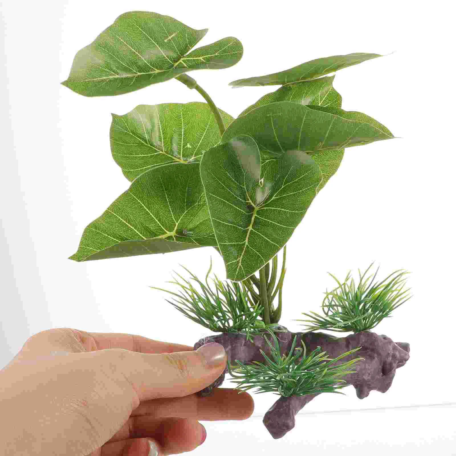 Hierba decorativa duradera para acuario de agua dulce, plantas para pecera, Betta, paisajismo