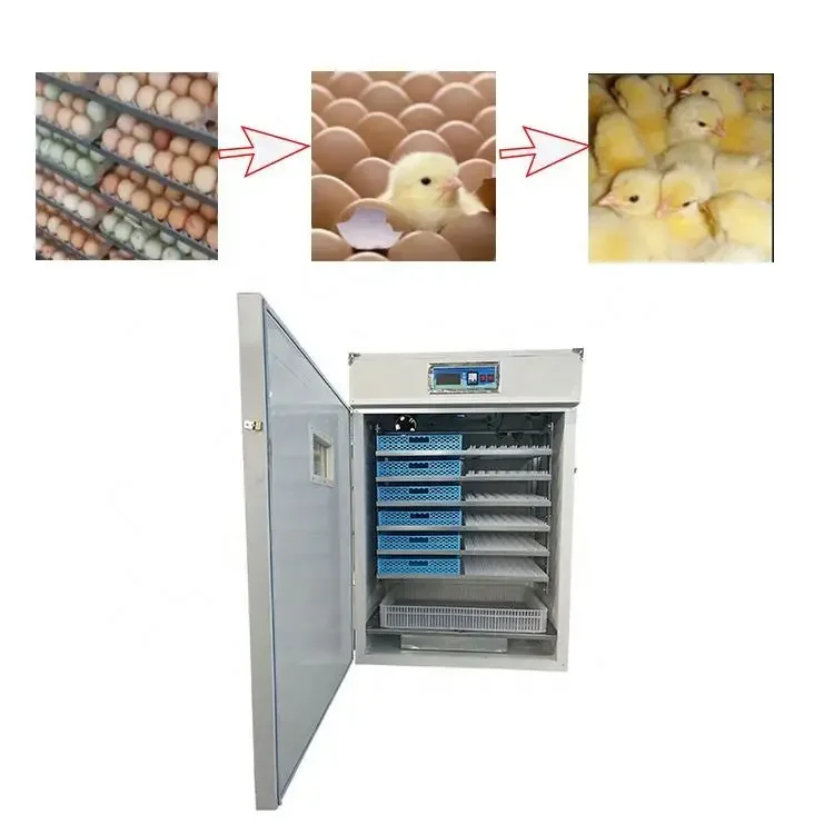 Egg Incub For Quail 1056 Egg Incubators Incubator Egg Hatching Machine