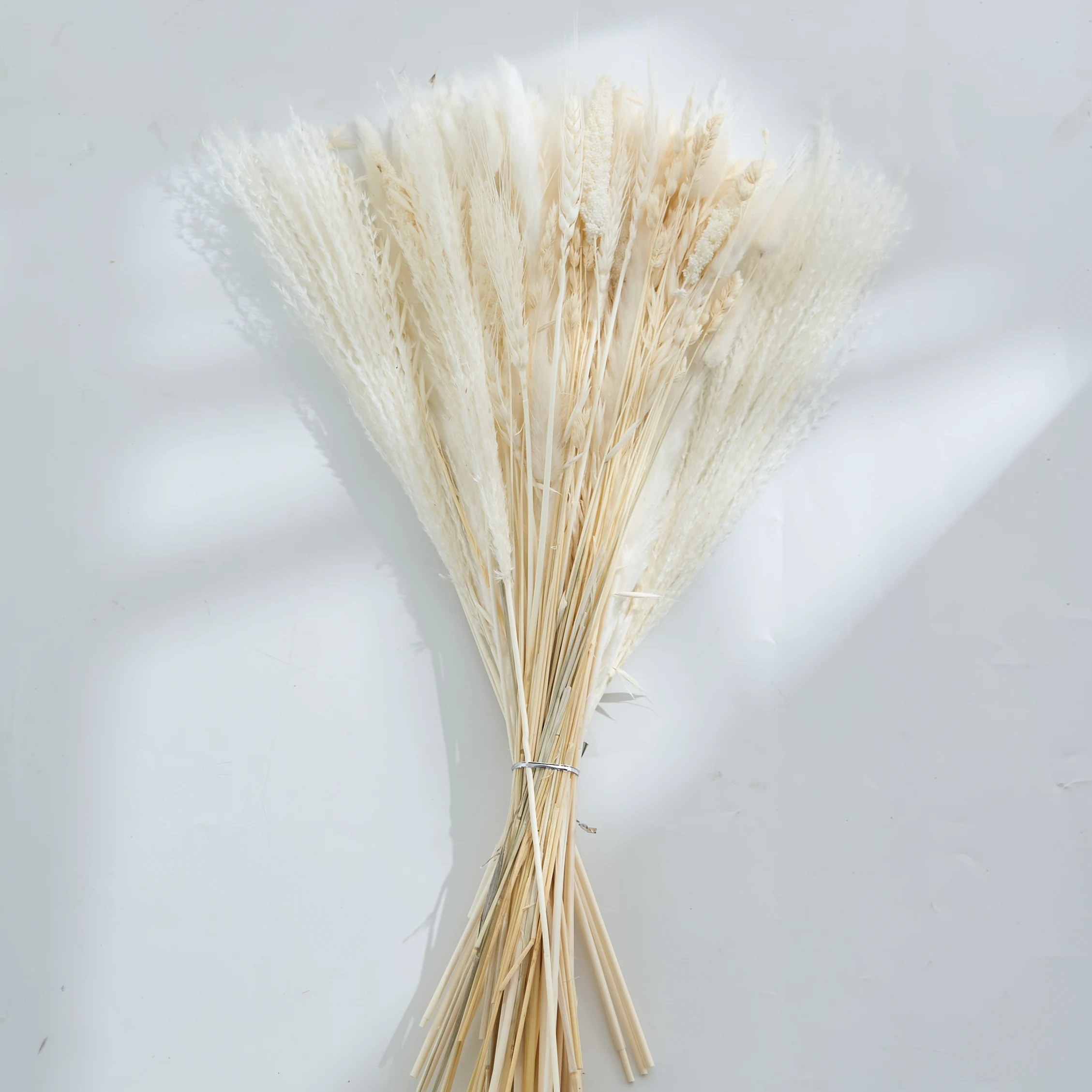 Natural Pampas Grass Rabbit tail Grass Dried Flowers Bouquet Boho Home Decoration Wedding Floral Arrangements and Bedroom Layout