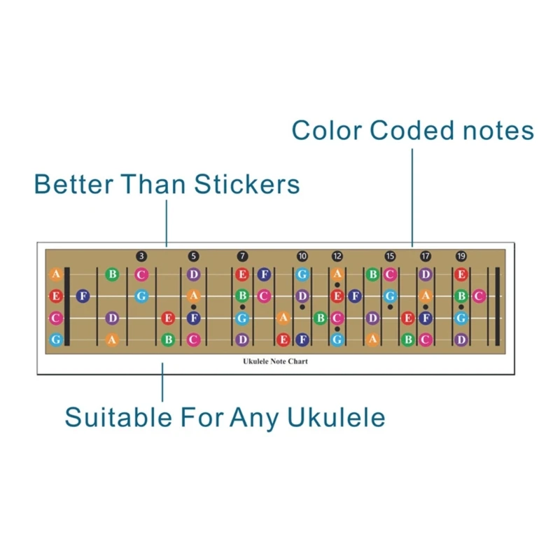 Ukulele Chord Chart Poster Ukulele Fretboard Note Chart Instructional Poster for Beginners Chord & Note Easy to Use