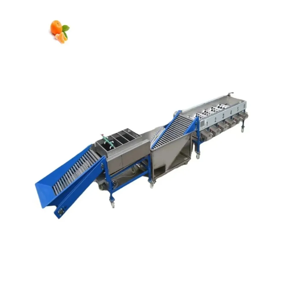 Dry Date Sorting Machine Citrus Onion Selector Lemon Sorter