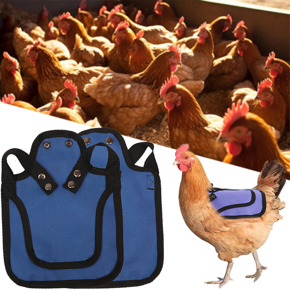 Adjustable Rooster Chicken Saddle Back Feather Wing Protection Fixator Chicken Vest Hen Poultry Protector Apron For Cold Proof