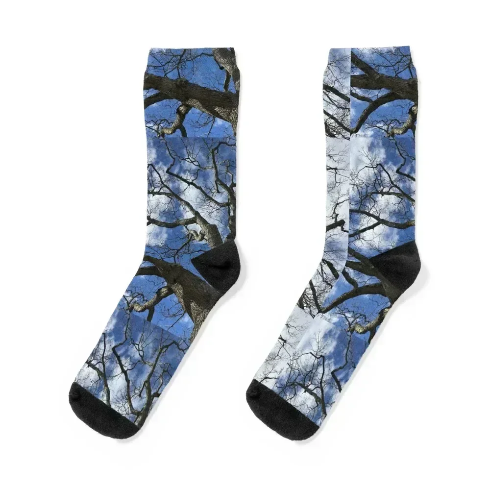 

Branches Socks hiking Christmas sports stockings with print Luxury Woman Socks Men's