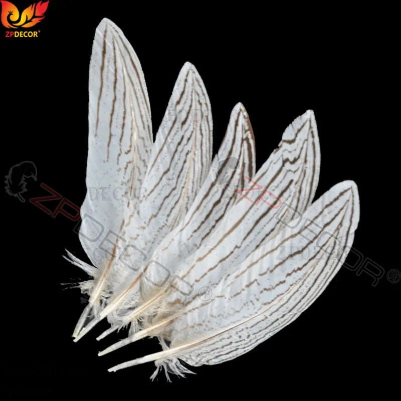 ZPDECOR 10-15 CM 4-6 Inch Silver Pheasant Tail Feathers Color can be custom