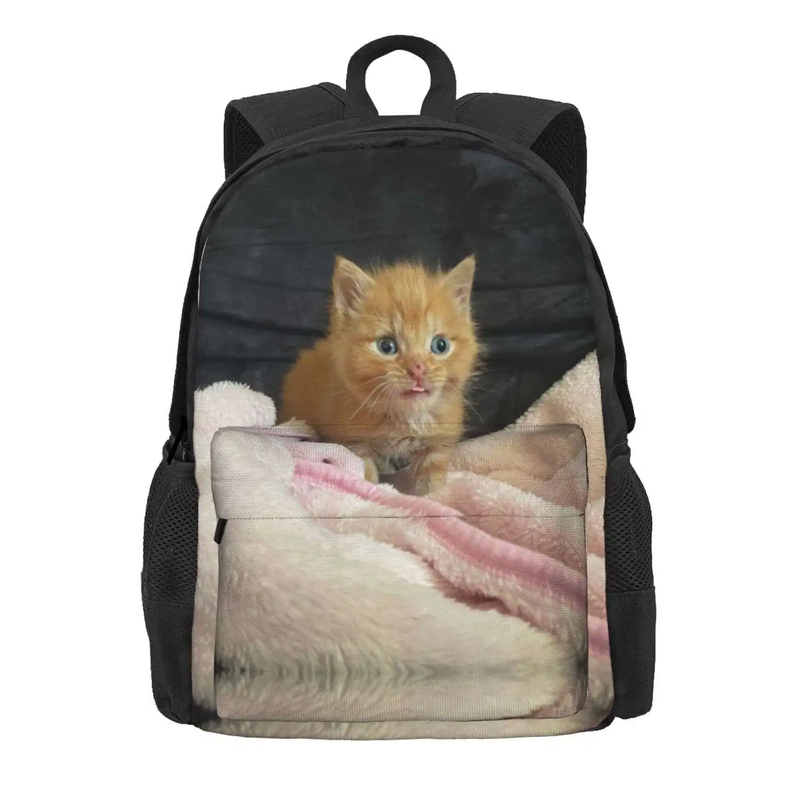 Blop Hot Sale Schoolbag Backpack Fashion Bags Cute Cat Kitten Weird Ginger Orange