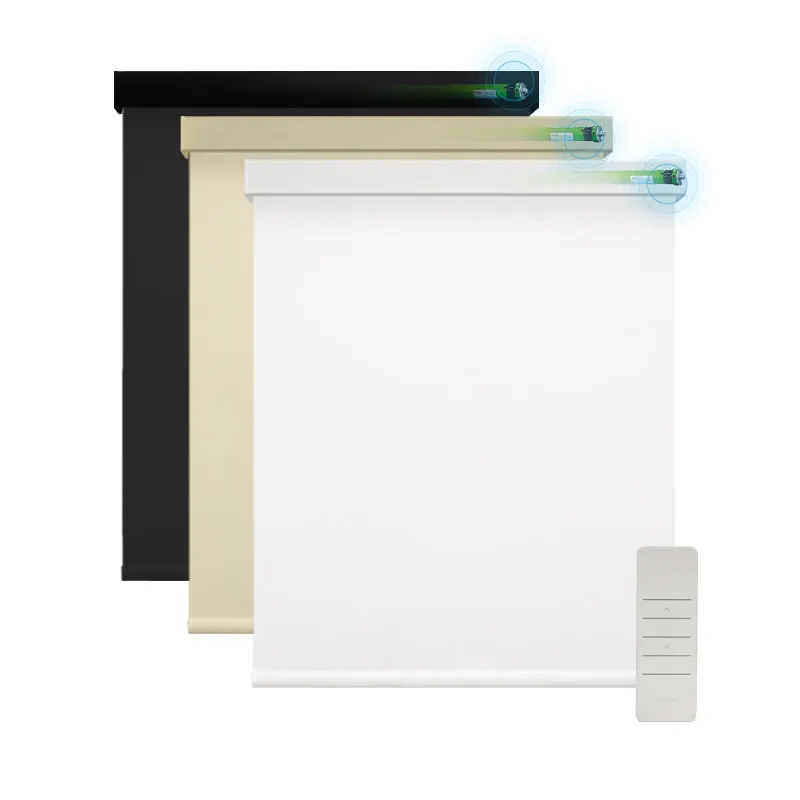 Popular Light Filtering Shading Day and Night Polyester Smart Roller Shades Blinds for French Windows