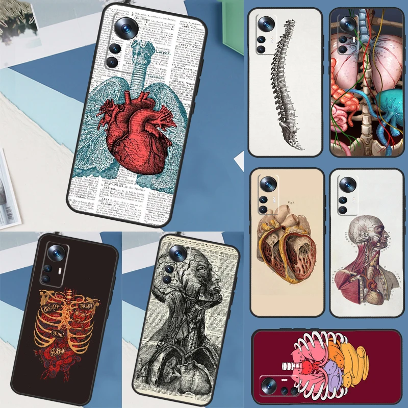 Medical Human Anatomy Case For POCO F5 Pro M4 M5 X3 X4 X5 F3 F4 GT Cover For Xiaomi 12T 11T Pro 11 12 13 Lite