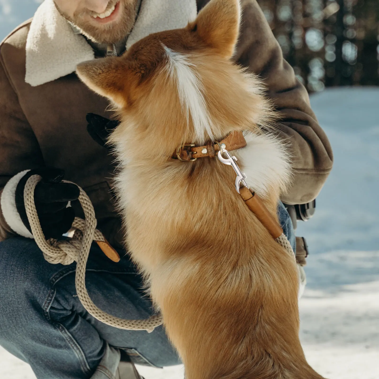 

6Pcs Small Lightweight Pet Leash Buckles Multipurpose Snap Hooks for Interior Decorations Signs DIY Projects Snap Hooks