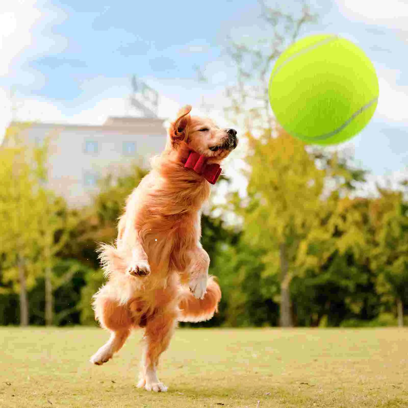 9 5-inch Out Door Toys outside for Kids Chew Large Dogs Puppy Balls 24cm Tennis 95 Giant Pet Child