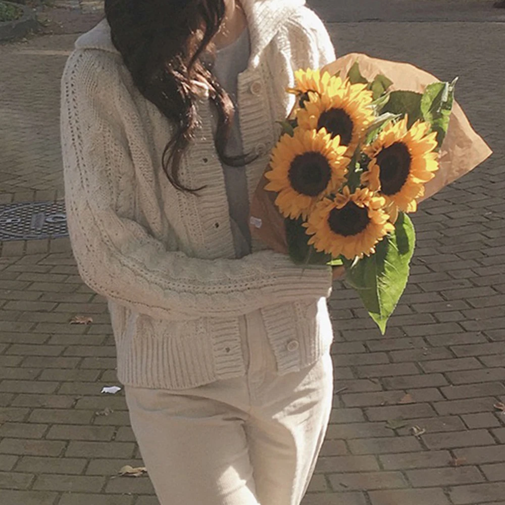 

Women's Heavyweight Knit Sweater Long Sve Turn-down Collar Thi Twisted Cable Autumn Winter Versatile Color Cardiga...