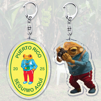 Hot Singer Puerto Rico Dtmf Reggaeton Music Keychains for Accessories Bag Debi Tirar Mas Fotos Frog Keyrings Jewelry Fans Gifts