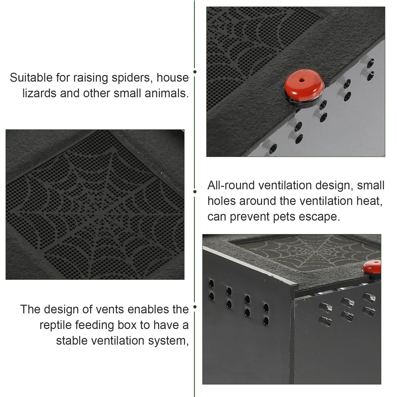 

Spider Enclosure with Acrylic Panel Pullout Lid All-Round Ventilation Design Reptile Feeding Box for Tarantulas Geckos