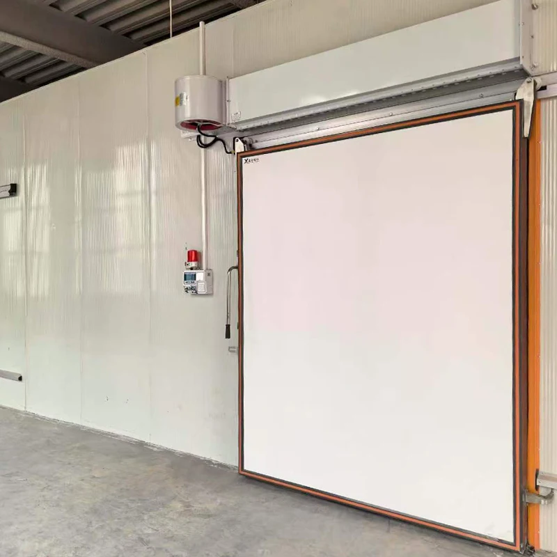 Professional and High-quality Stainless Steel Sliding Doors for Cold Storage Facilities