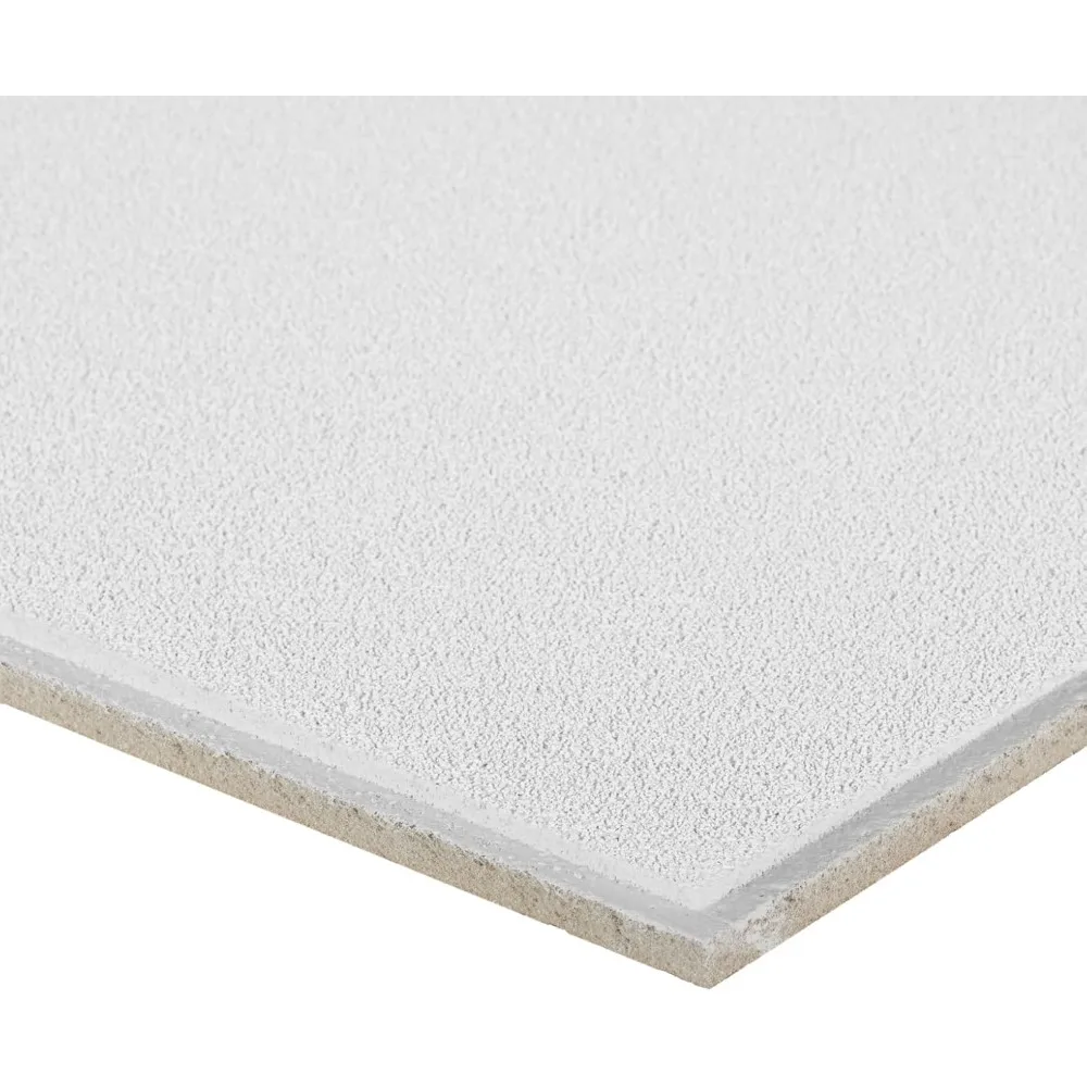 2x4 天井タイル - 10枚入り ホワイト; 吊り天井グリッド用吸音天井; デューン セカンドルック 2712