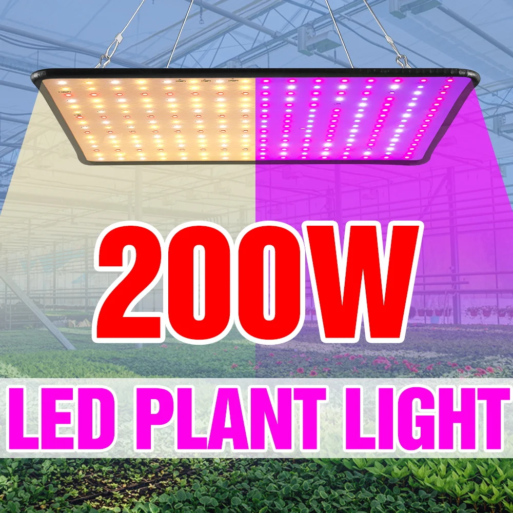 200wフルスペクトルled育成ライト-室内量子ボード植物栽培ランプ-温室テント-苗木-野菜-花-補光照明
