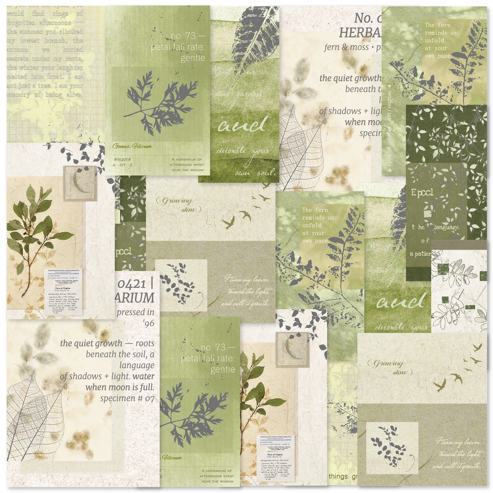 Etori Life 18Pcs Green Plant Specimen Stickers Textured Paper Plant Print Illustration Patterns DIY Gift Card Background Paper, for Packaging Lining, Gift Box Packaging, Laptop, Handbag, Photo Album, Postcard and Envelope, Scrapbook Supplies, Room Decoration, Office Decoration Supplies, School Supplies, Artistic Aesthetics, Green Plant Enthusiasts, Cycling Decals, Back-To-School Season