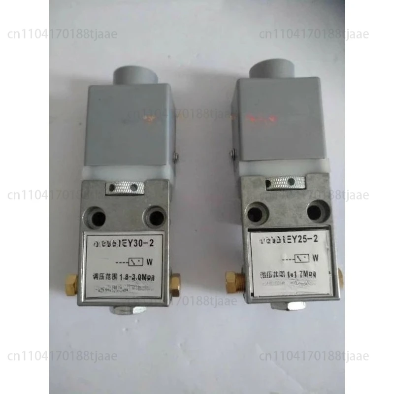 Relais de pression pour machine de moulage par injection Pressostat EY25-2 / EY30-2