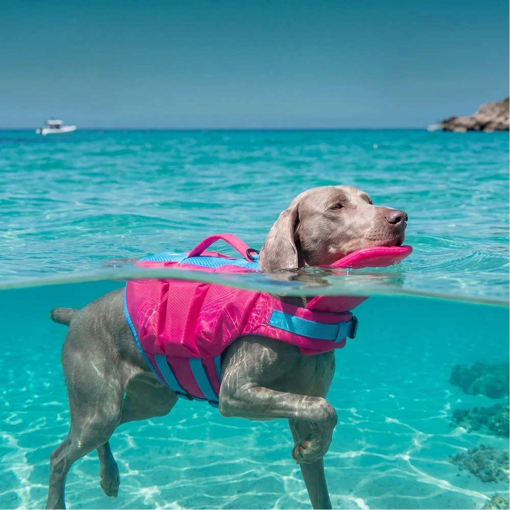#26 Latest Dog Life Jackets Offers