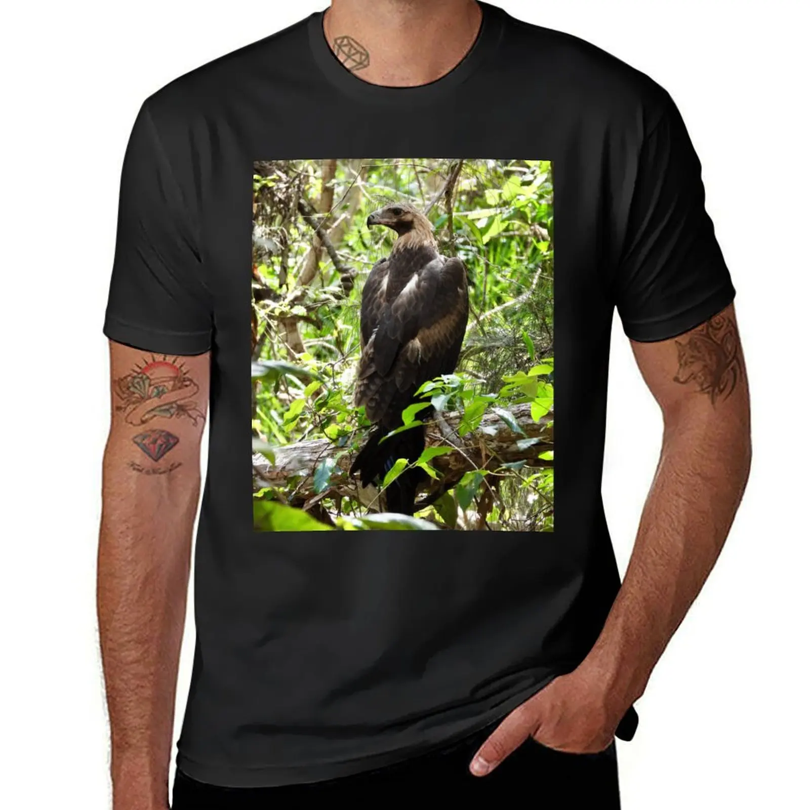 Wedge-tail Eagle Arkarra Lagoons T-Shirt graphics oversizeds anime t shirts for men pack