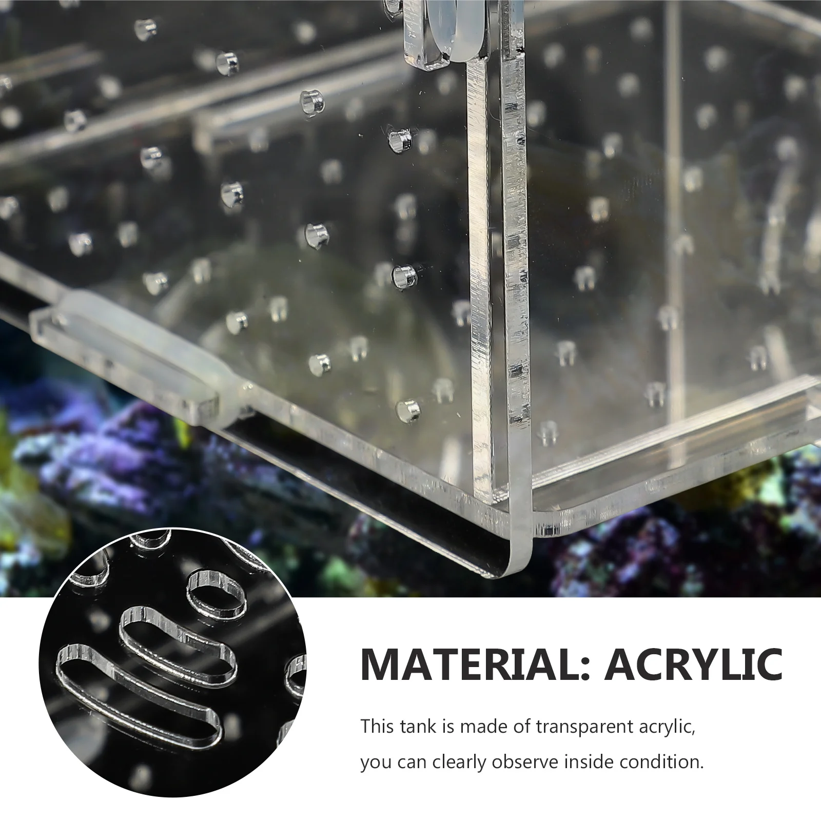 

Acrylic Transparent Fish Breeding Box Isolation Tank Incubator Protects Eggs Shrimp Nursery Aquarium Accessory