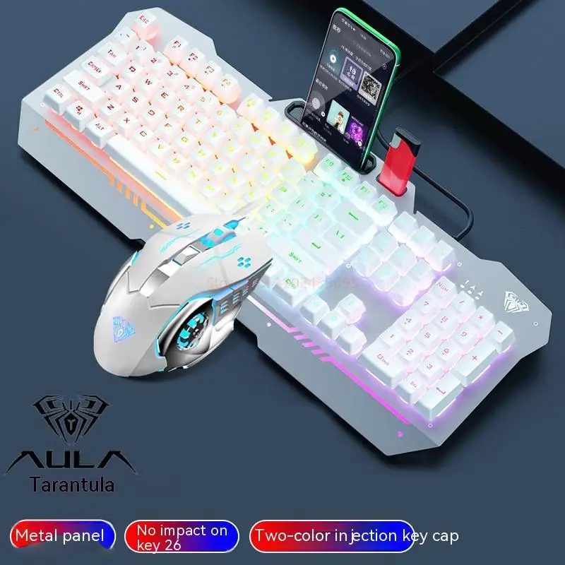 Aula/f3010 Mechanical Feel Keyboard Gaming Esports Peripherals Desktop Computer Laptop Dedicated Wired Keyboard Boy Desktop Gift