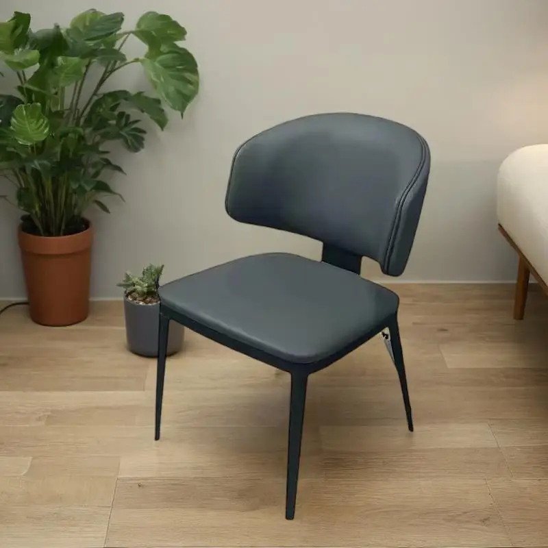 Sedie morbide Cucina Balcone Mobili Sedia avanzata Camera da letto Casa Matrimonio Caffè Design Camera di lusso Krzeslo Giardino per persona singola