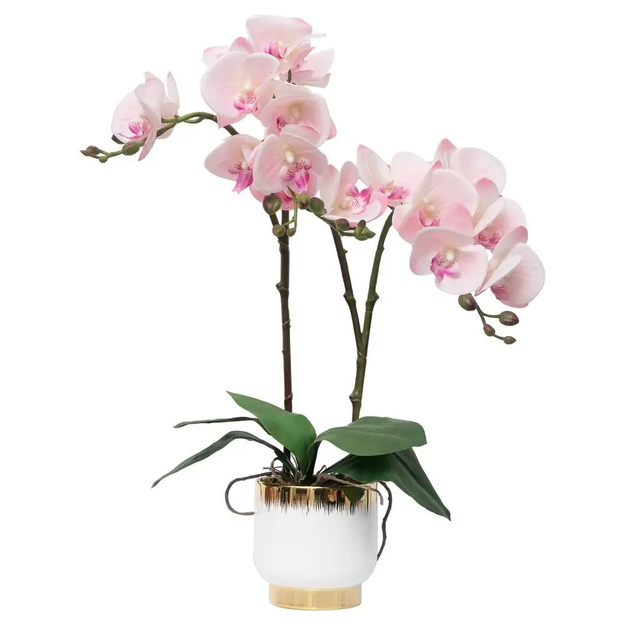 

Orchids Artificial Flowers Real Touch Fake Flowers in Ceramic Pot 20 Pink Faux Orchid Plant Lifelike Silk Phalaenopsis for Cente