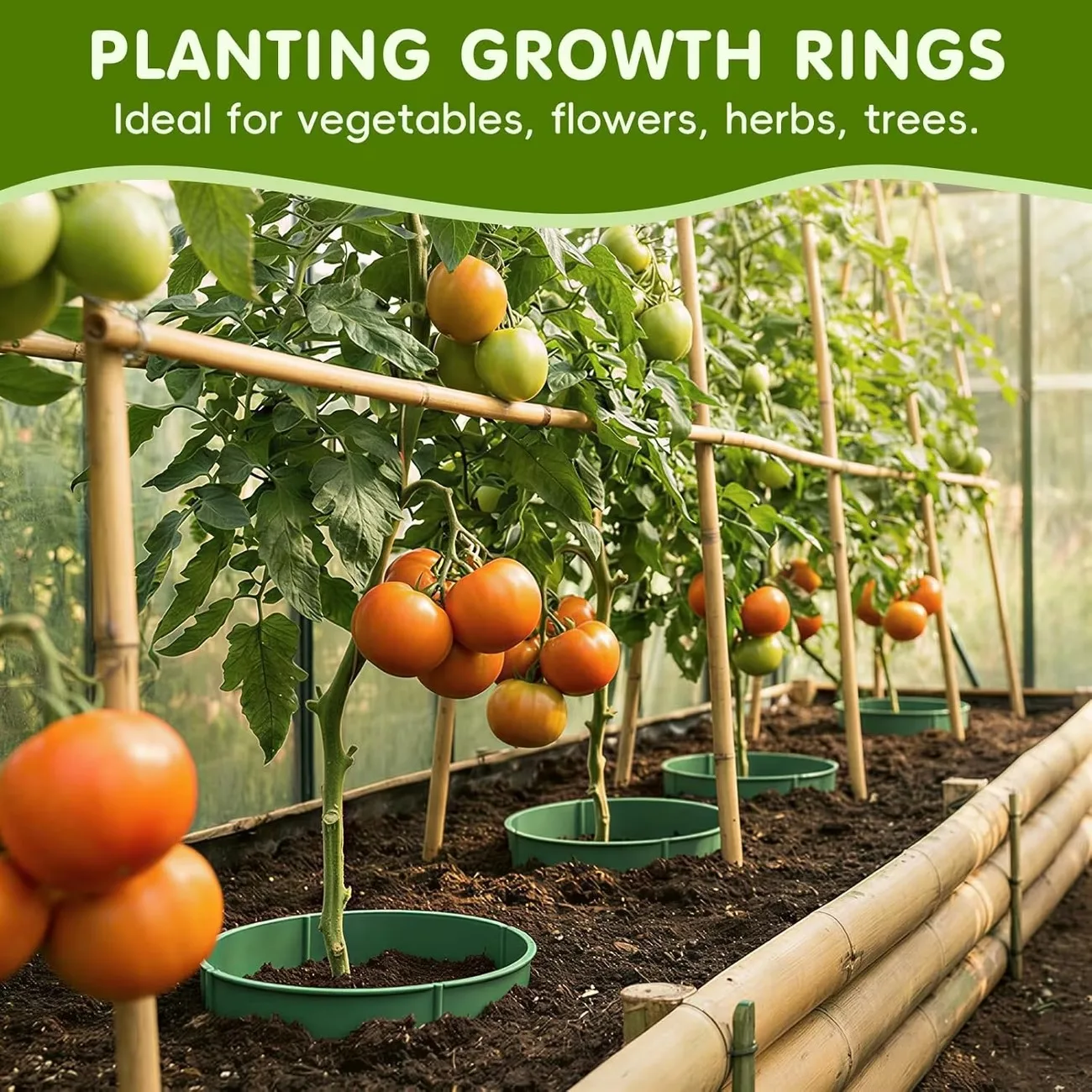 10/24Pcs Plant Grow Ring Protective Round Deep Watering Circular Landscape Edging Planting Rings Garden Protector