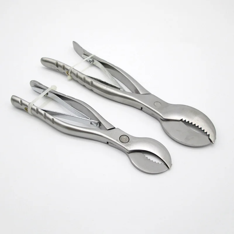 2Pcs Dental Plaster Shears Scissiors S/L Stainless Steel Forceps Gypsum Pliers and Teeth Technology Equipment Dentistry Material