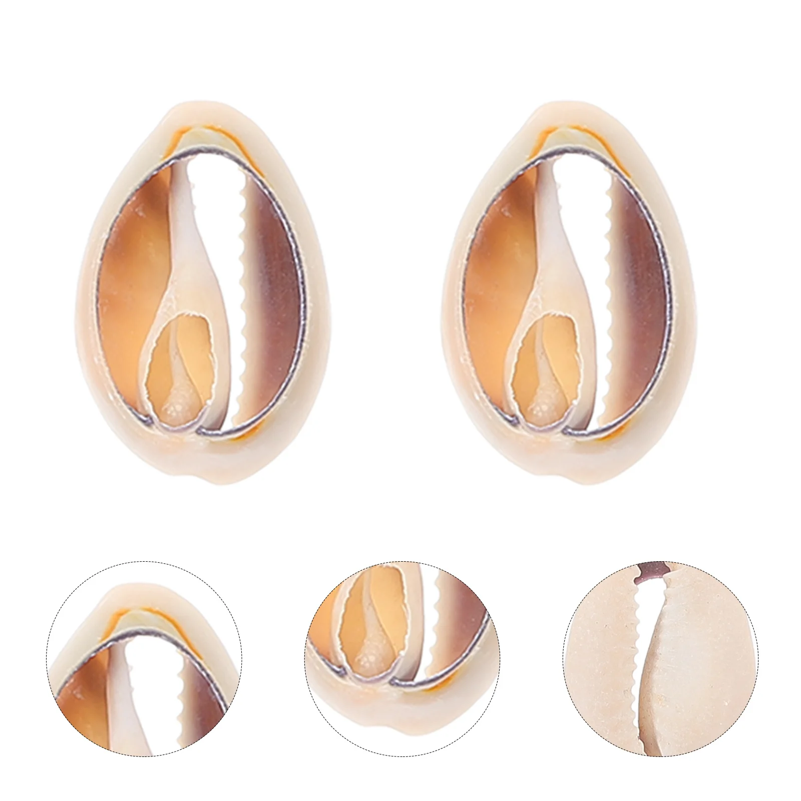 

10Pcs Seashell Pendants Mini Charms for Jewelry Making DIY Earrings Bracelets Craft Supplies Natural Shell Beads