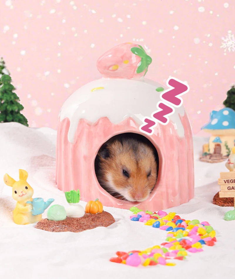 Thumbnail 3 - #18 Trending Hamster Habitats Right Now