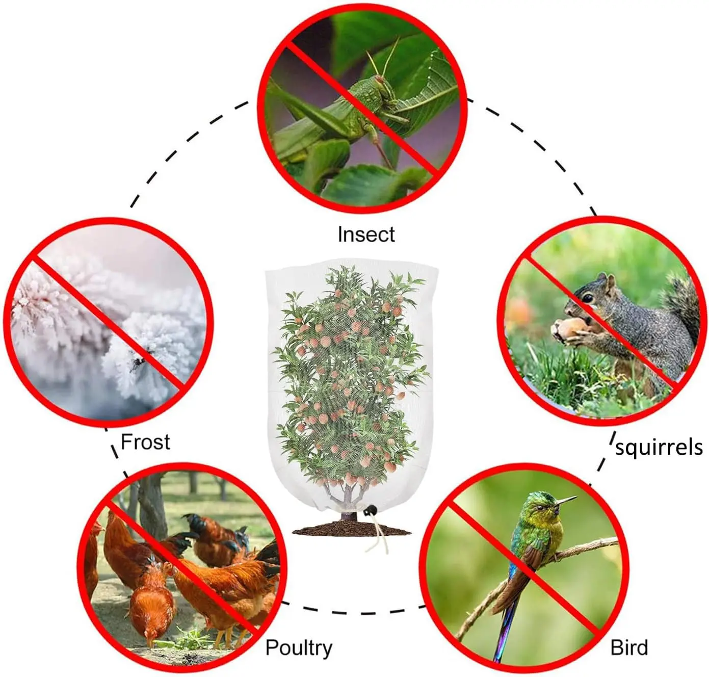 Garden Plant Insect Protection Net,Anti Bird Net Cover for Cherry,Blueberry,Vegetable,Flower,Greenhouse Protective Mesh Network