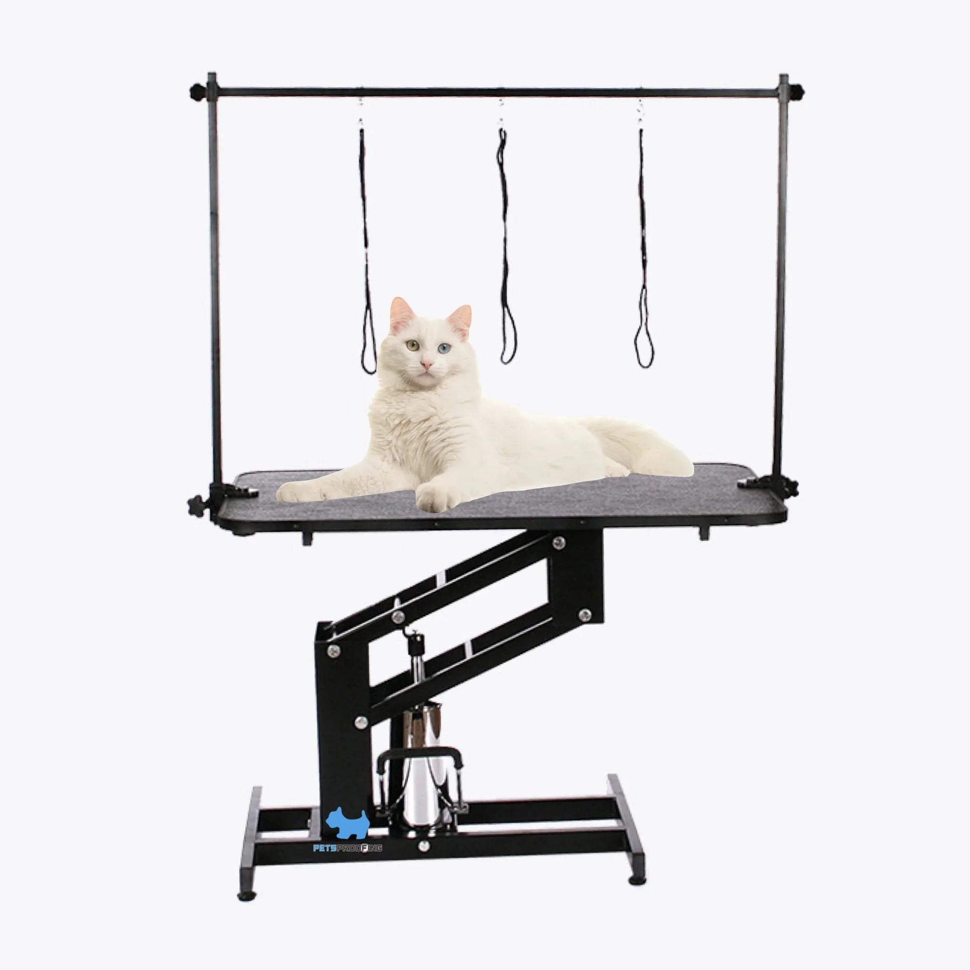 

Petsproofing Ebay Professional Collapsible Comfort Stainless steel Height Adjustable Lifting Dog Pet Grooming Table for sale