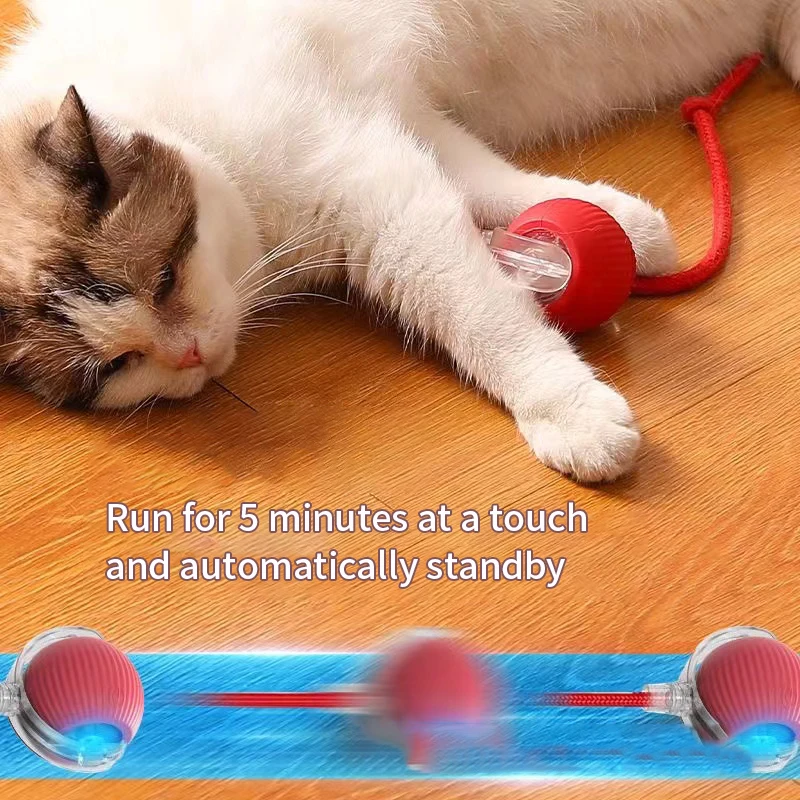 Interactive Cat Toy Ball Super Drive Cat Rolling Balls with Bird Chirping Motion Activated Sensor Pet Kitten Teaser Game Toys