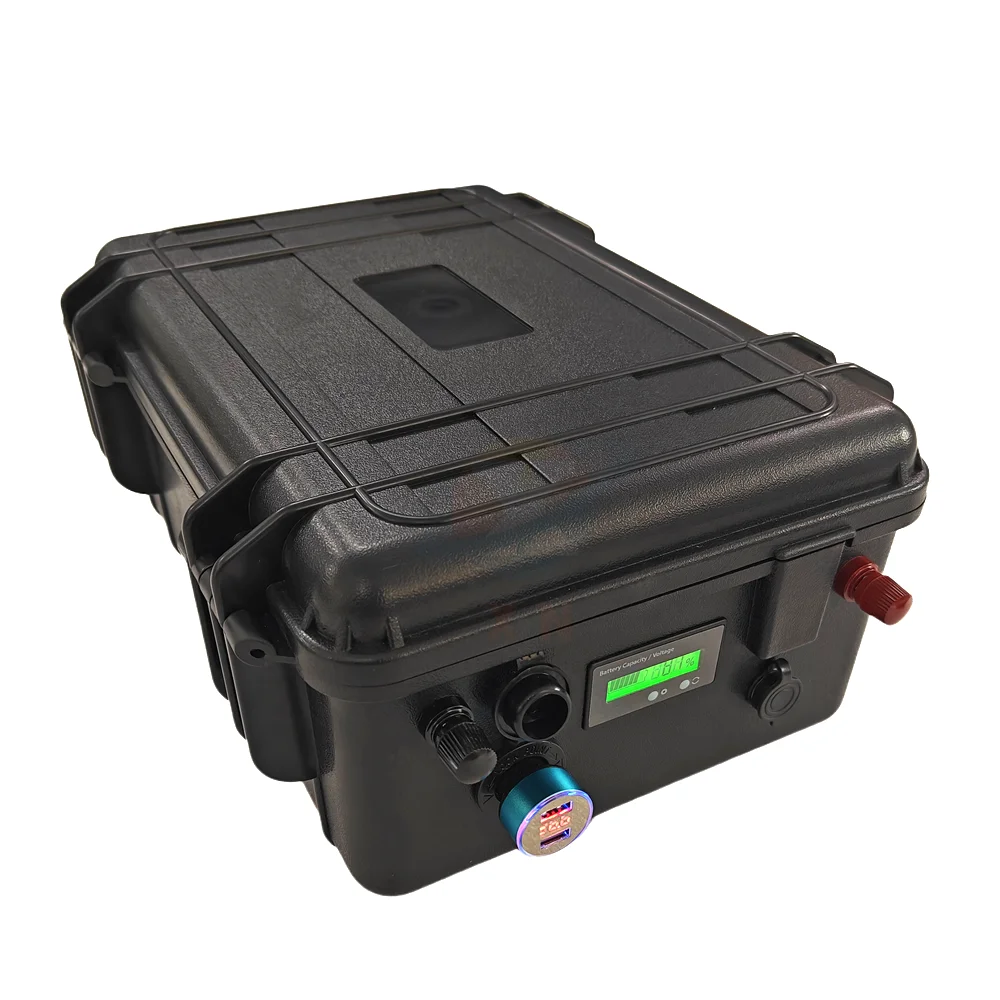 Waterproof ip67 24V 50Ah 60Ah 80Ah 100Ah 120Ah 150Ah Lithium ion battery with BMS for trolling motor solar system+10A Charger