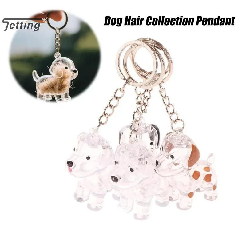Collezione di peli di cani e gatti Ciondolo Scatola portaoggetti per capelli Borsa Fascino Pendenti per animali domestici Capsula per capelli trasparente Cani Gatti Souvenir Regalo